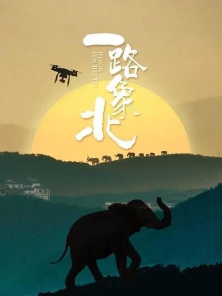 《一路“象”北》：一场关于爱与勇气的奇幻旅程，探寻最纯粹的爱情真谛，不容错过的感人纪录片！