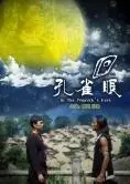 《孔雀眼》：当青春片遇上“无限斗界之暗夜双龙”，这混搭口味谁顶得住？